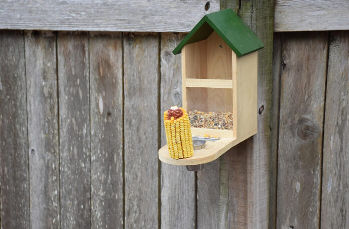 karmnik dla ptaków