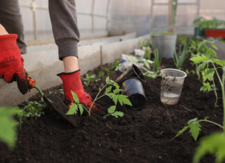 Ziemia ogrodowa i nawozy ogrodnicze – jak zadbać o ogród, aby zachwycał przez cały sezon? ziemia ogrodowa